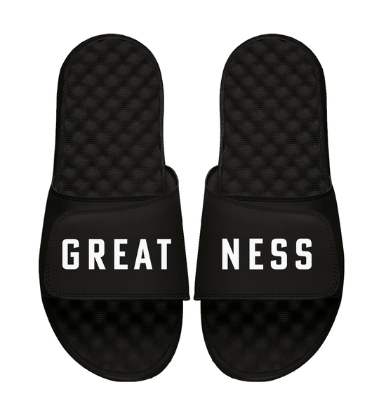 Greatness Wins Word Split